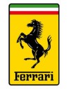 Ferrari sunglasses
